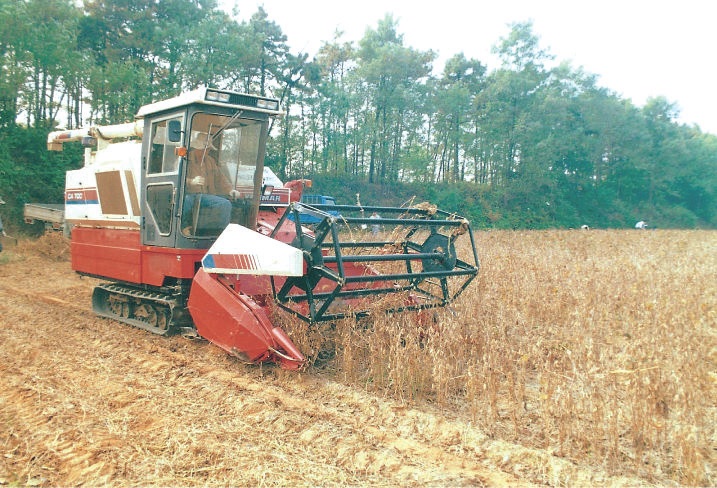 콩 자동탈곡기 이용 수확(1998)